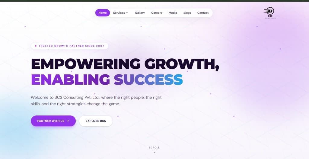 BCS Consulting website preview